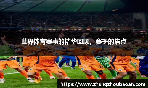 世界体育赛事的精华回顾，赛季的焦点
